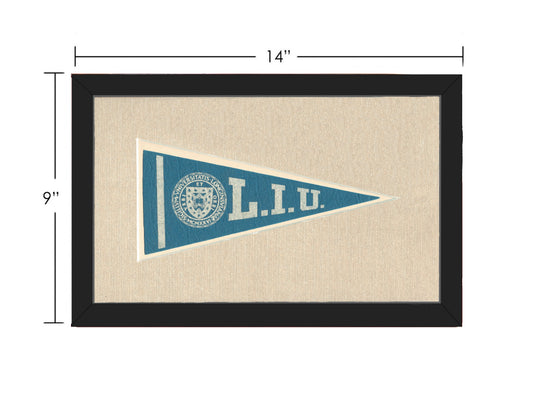 Vintage Long Island University Pennant