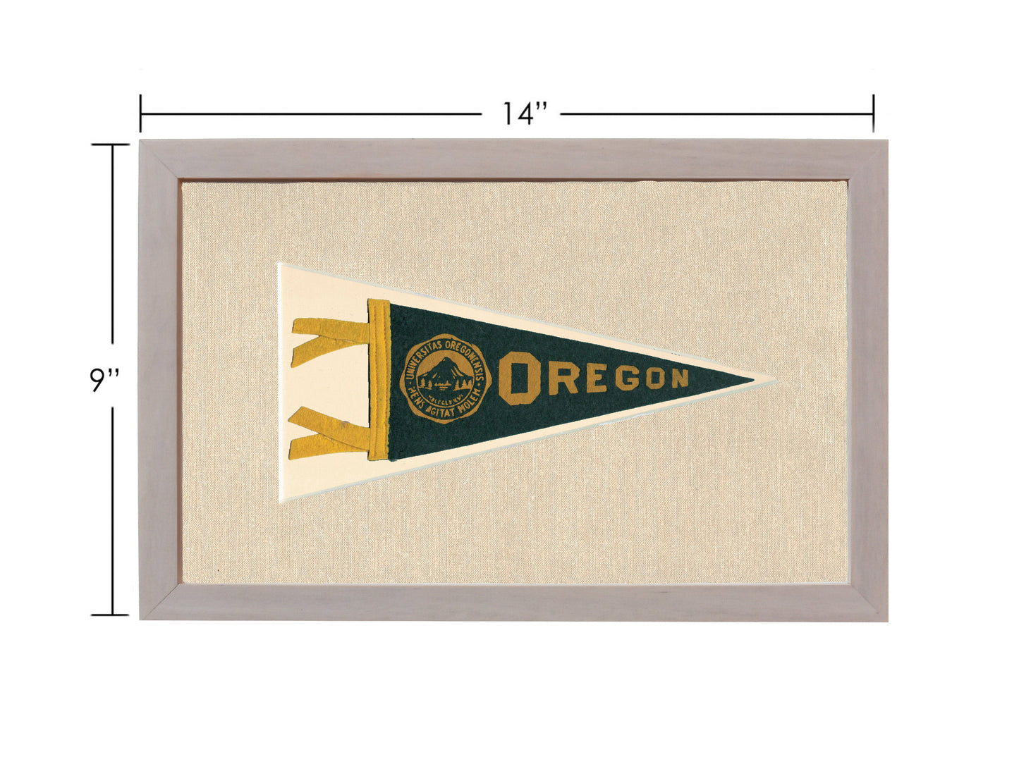 Vintage University of Oregon Pennant