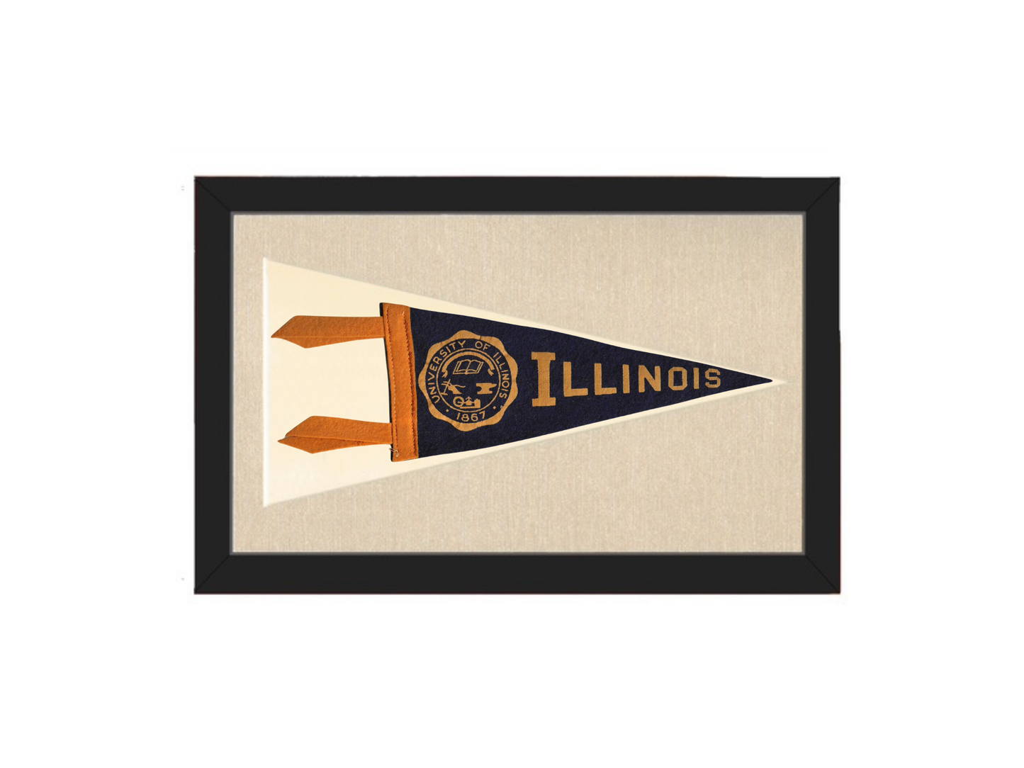 Vintage Illinois Pennant