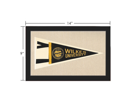 Vintage Wilkes University Pennant