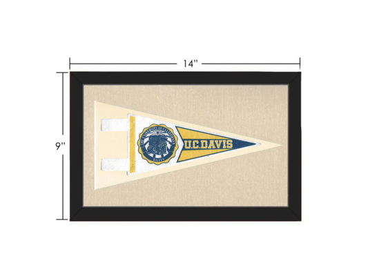 Vintage UC Davis Pennant