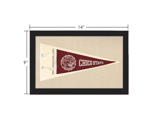Vintage Chico State Pennant