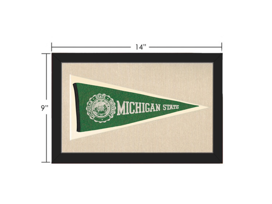 Vintage Michigan State Pennant