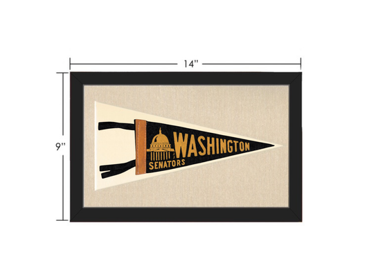 Vintage Washington Senators Pennant