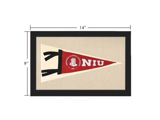 Vintage NIU Pennant