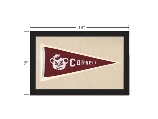 Vintage Cornell Pennant