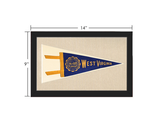 Vintage West Virginia Pennant