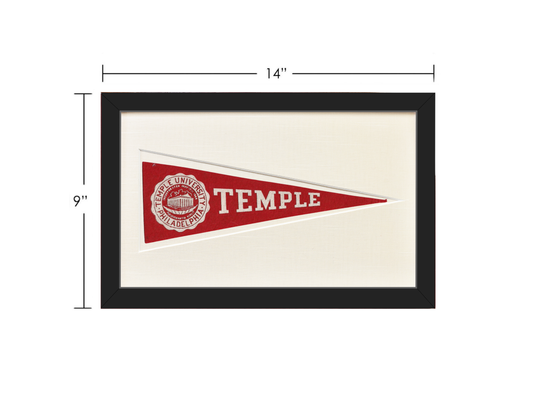 Vintage Temple University Hormel Pennant