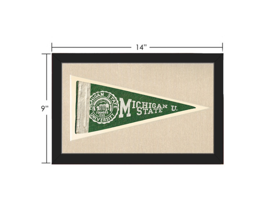 Vintage Michigan State Pennant