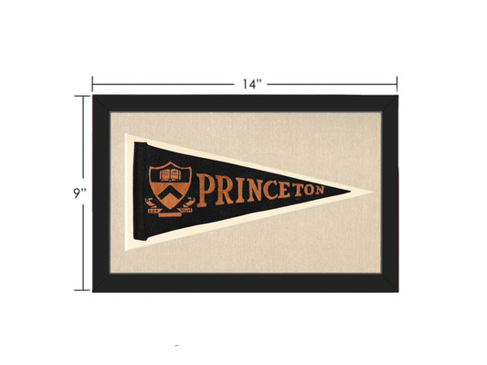 Vintage Princeton Pennant