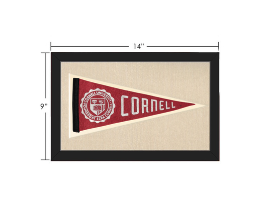 Vintage Cornell University Pennant
