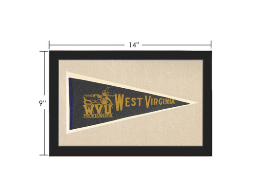 Vintage West Virginia Pennant