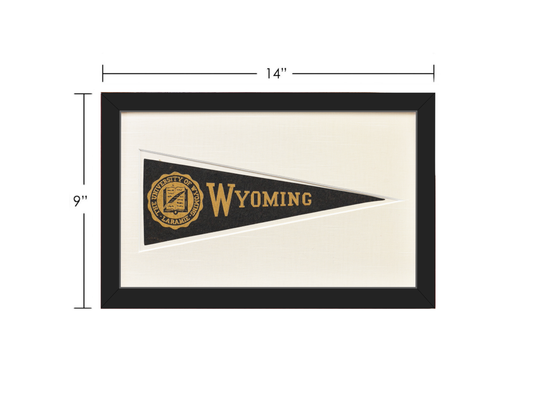 Vintage University of Wyoming