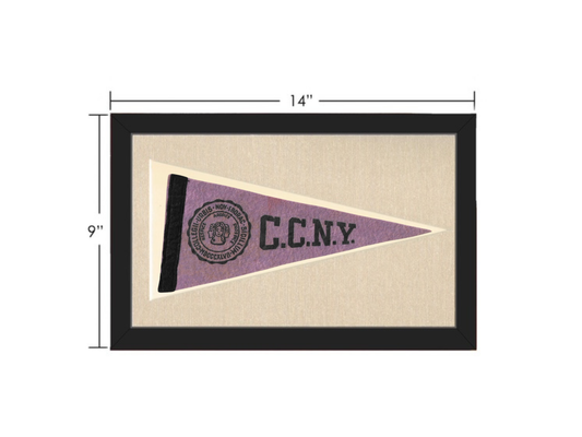 Vintage CCNY Pennant