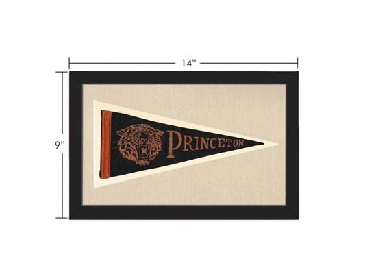 Vintage Princeton University Pennant