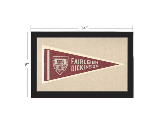 Vintage Farleigh Dickinson Pennant
