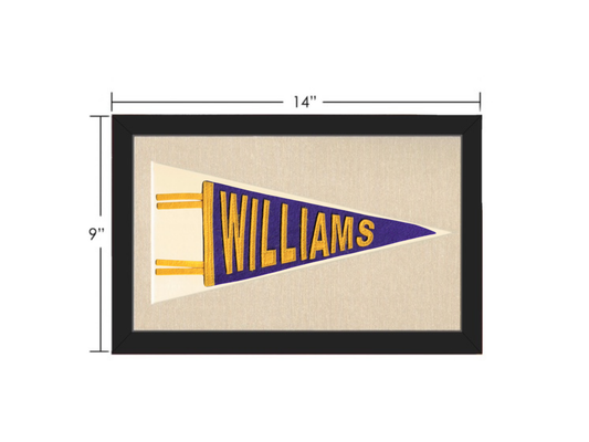 Hand made Williams College Pennant