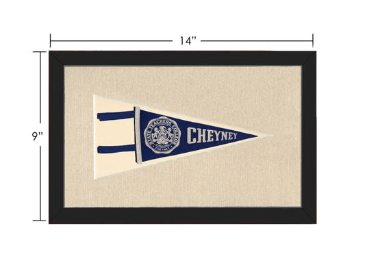 Vintage State Teachers College Pennant