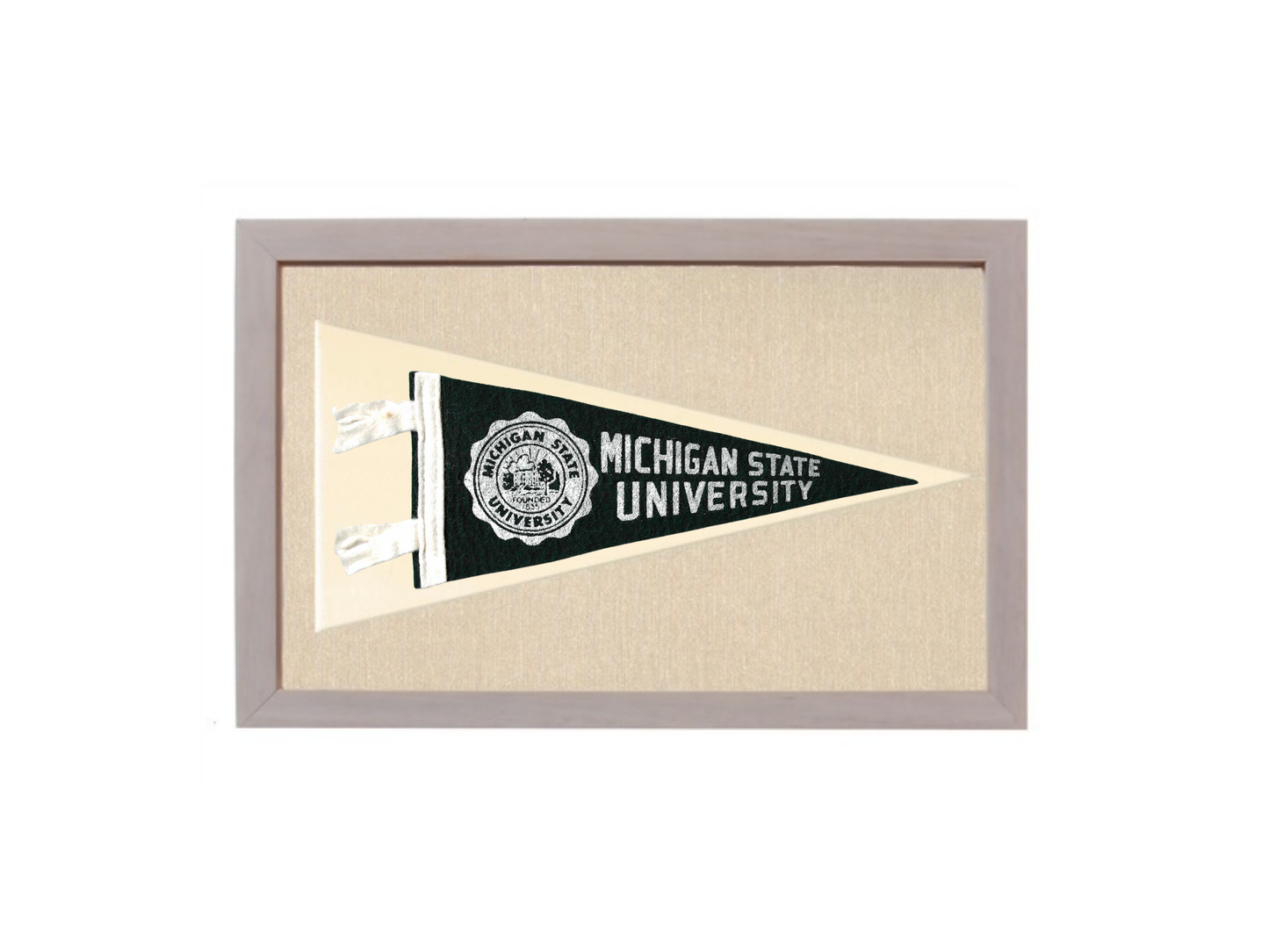 Vintage Michigan State Pennant
