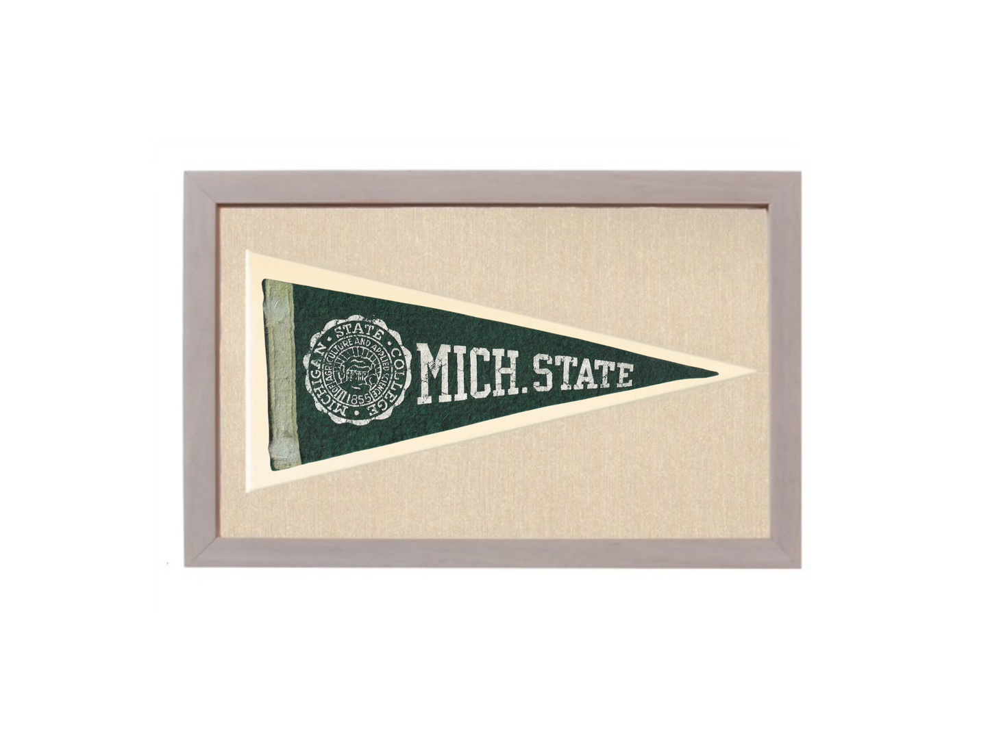 Vintage Michigan State Pennant