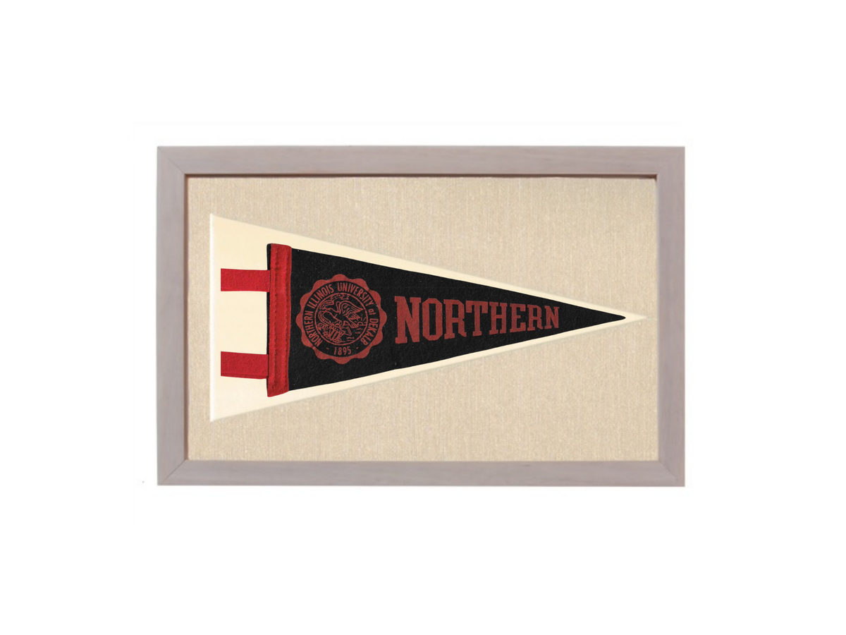 Vintage Northern Illinois Flag