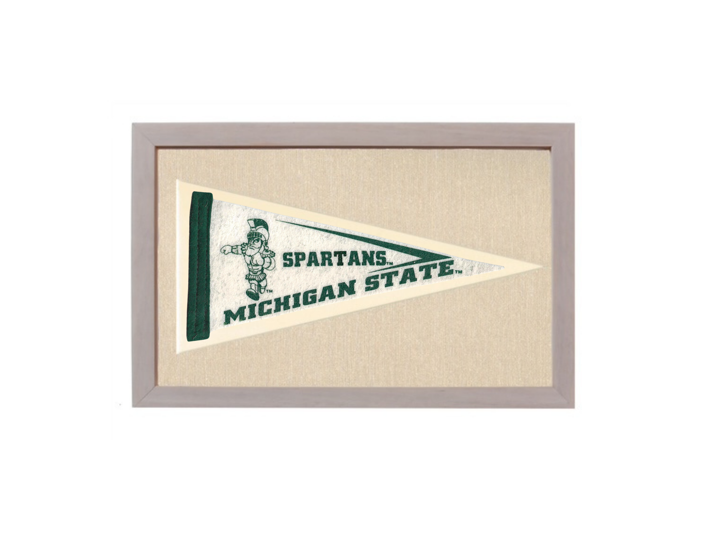 VIntage Michigan State University Spartans Pennant