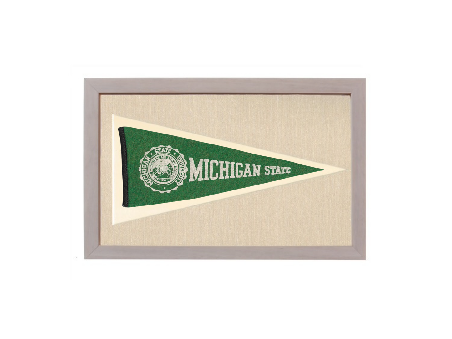 Vintage Michigan State Pennant
