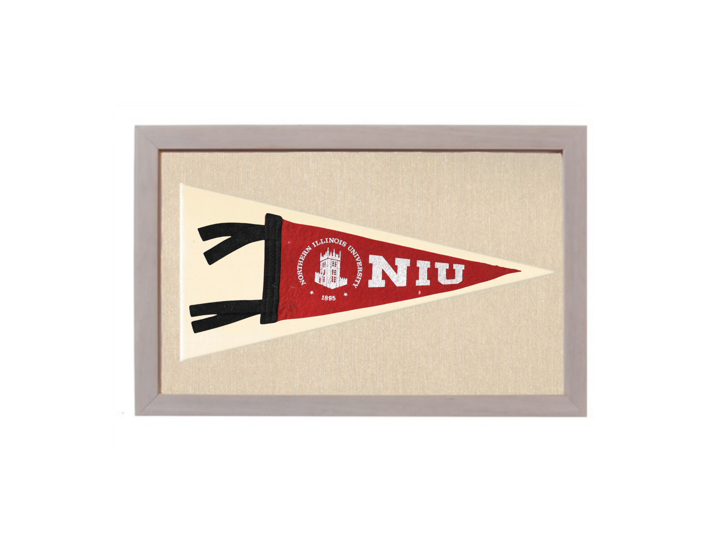Vintage NIU Pennant