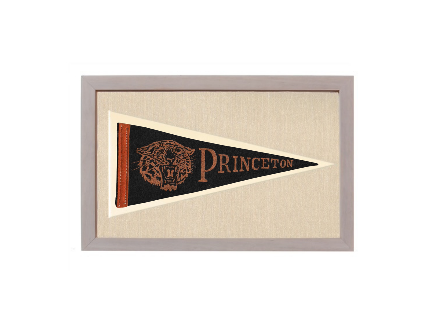 Vintage Princeton University Pennant