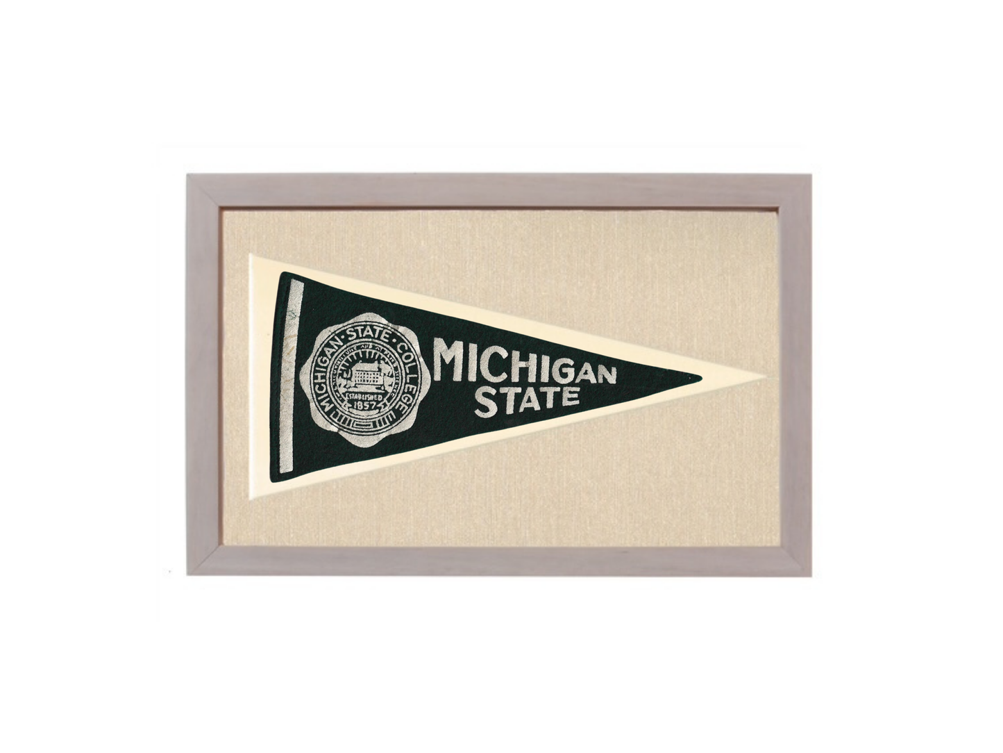 Vintage Michigan State Pennant