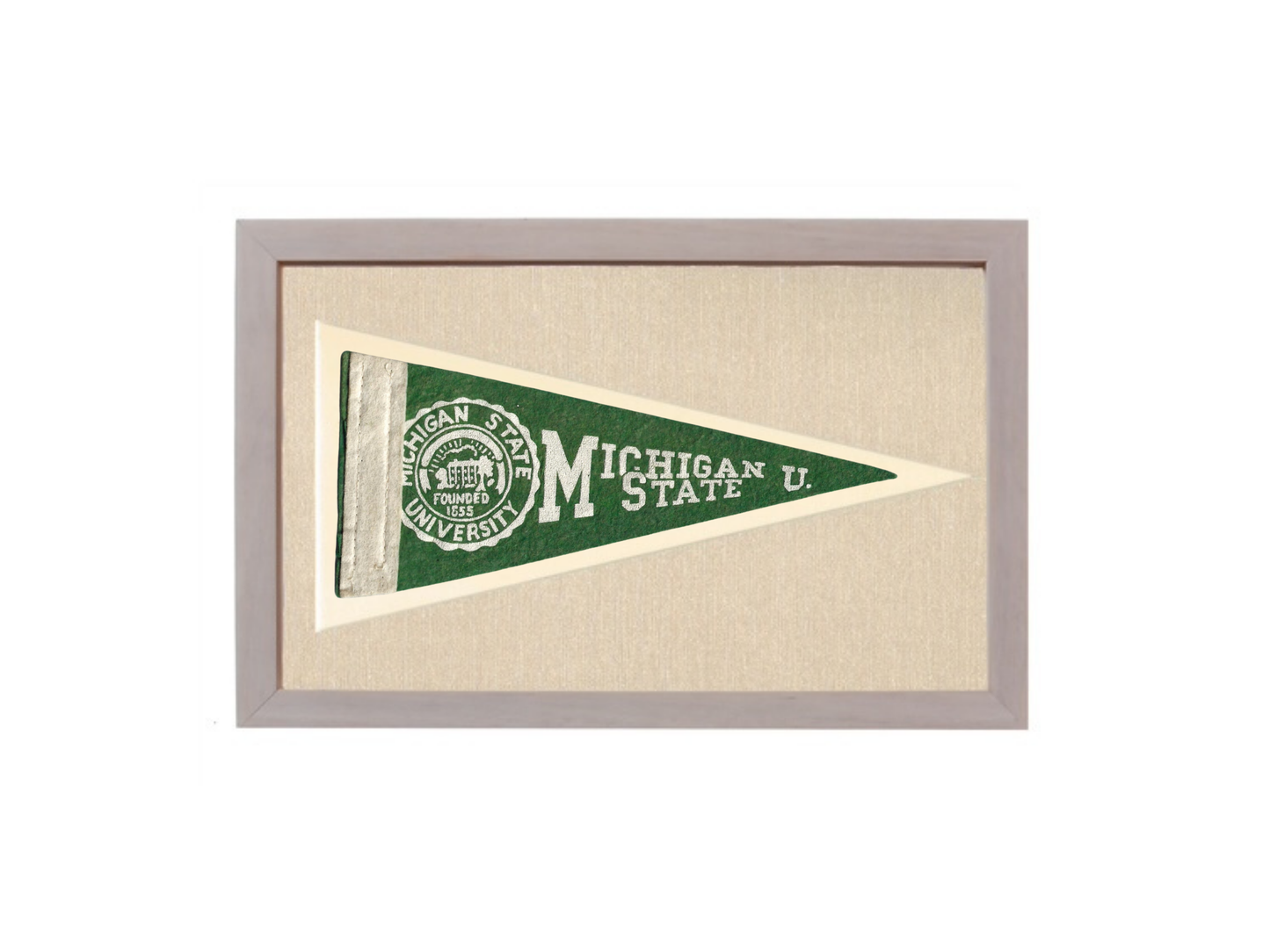 Vintage Michigan State Pennant