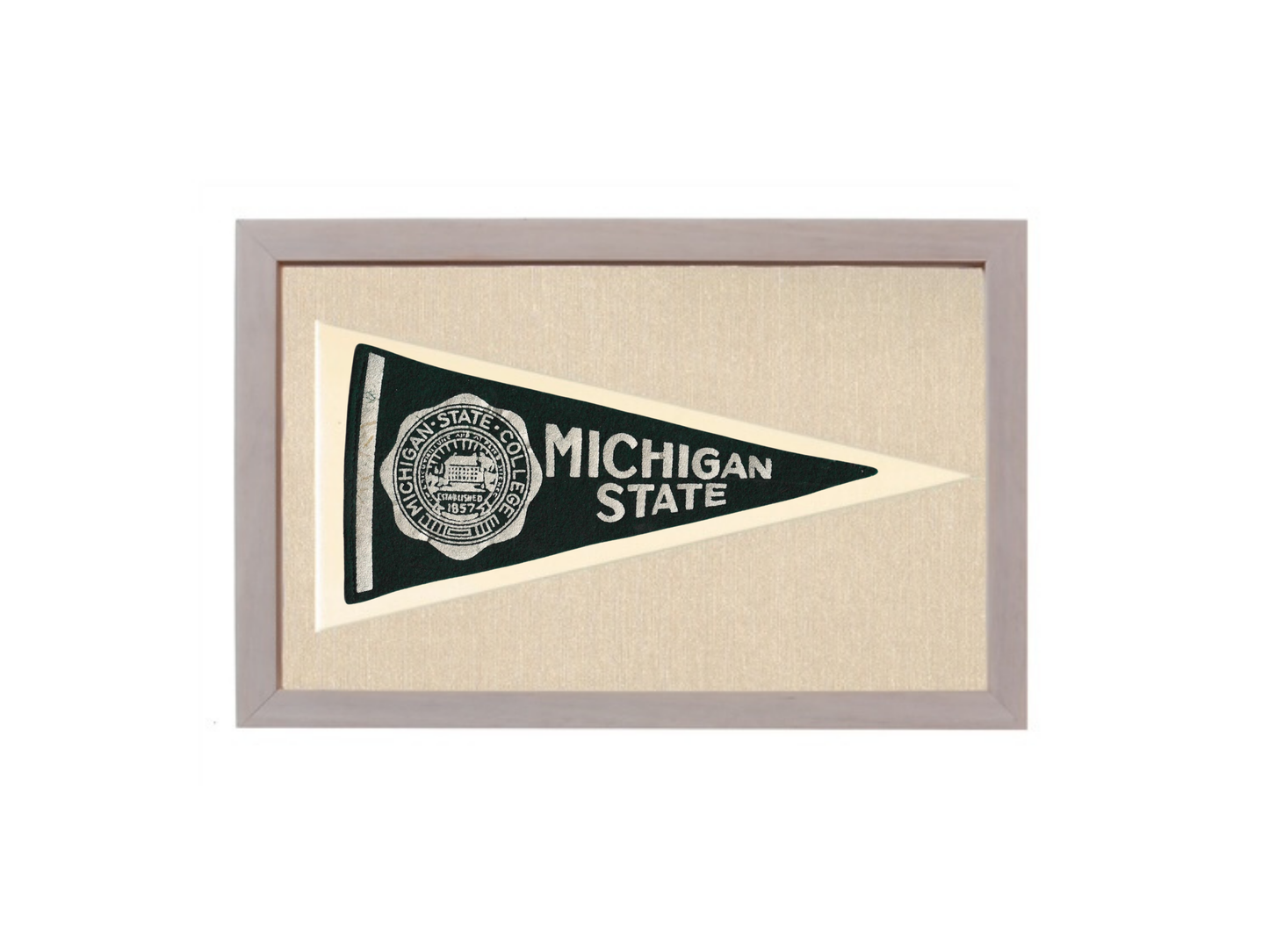 Vintage Michigan State Pennant