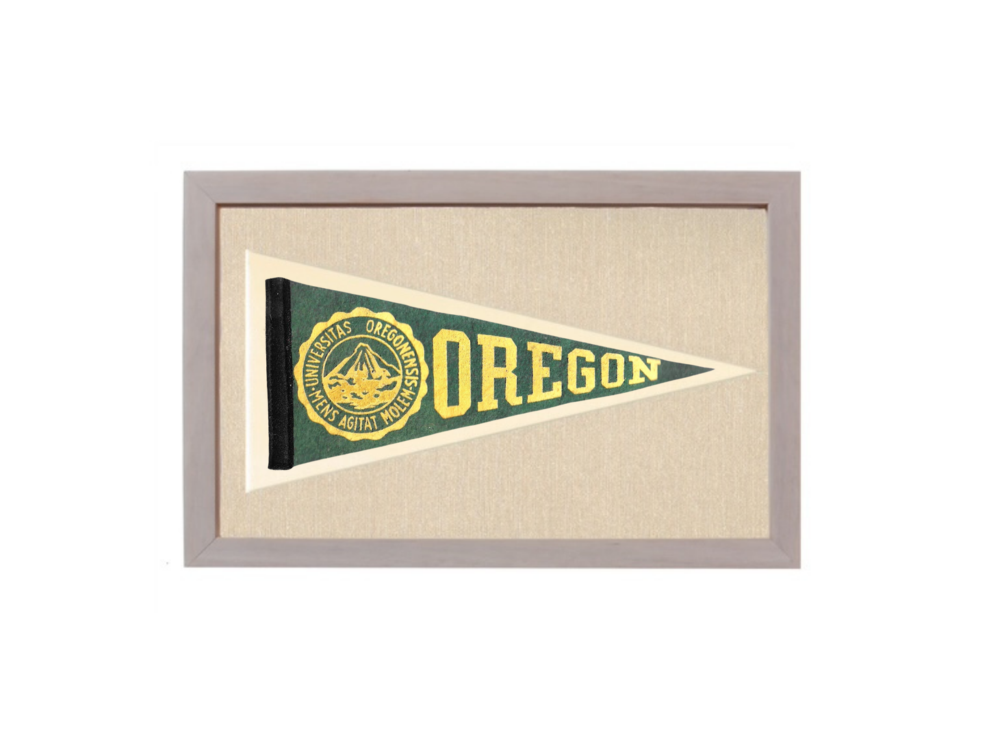 Vintage Oregon University Pennant