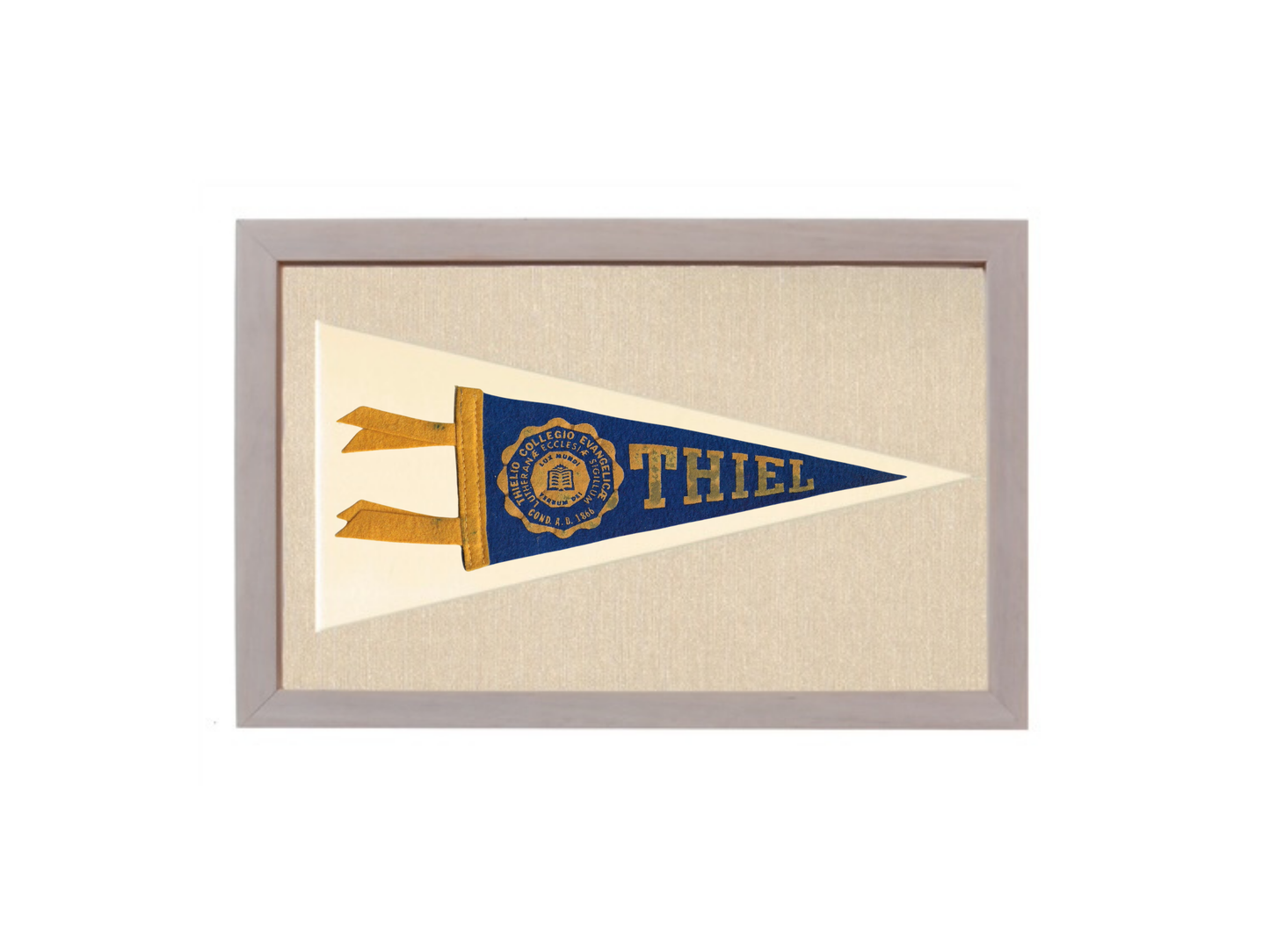 Vintage Thiel College Pennant