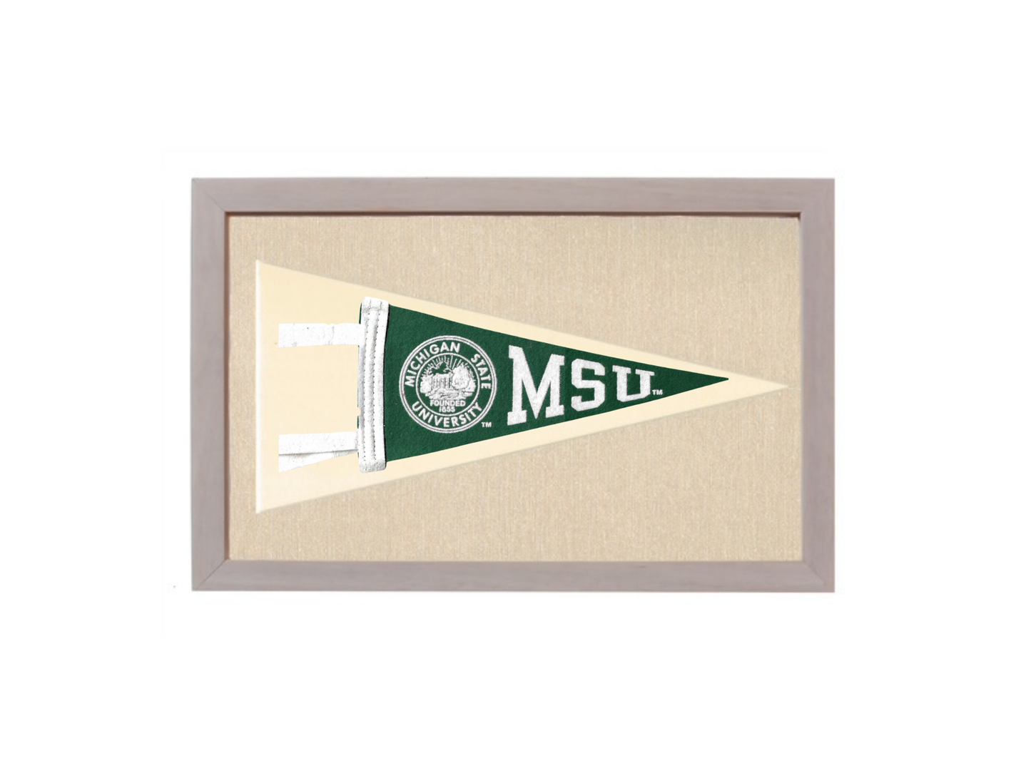 Vintage Michigan State Pennant