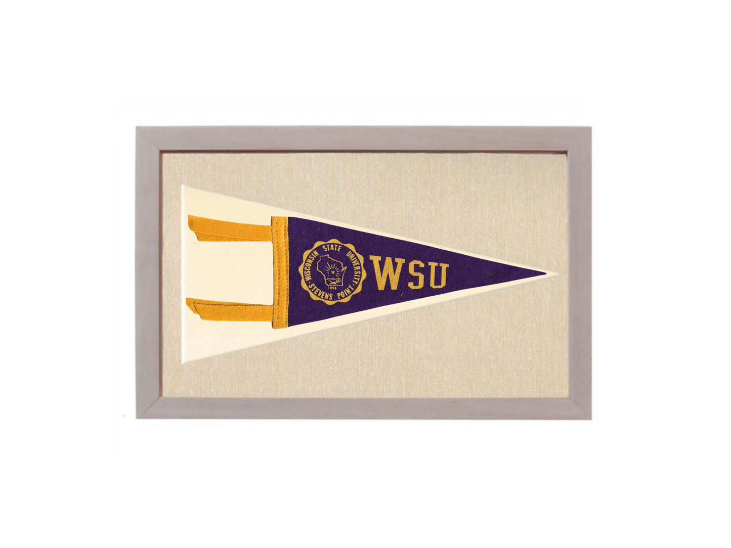 Vintage Wisconsin State University Pennant