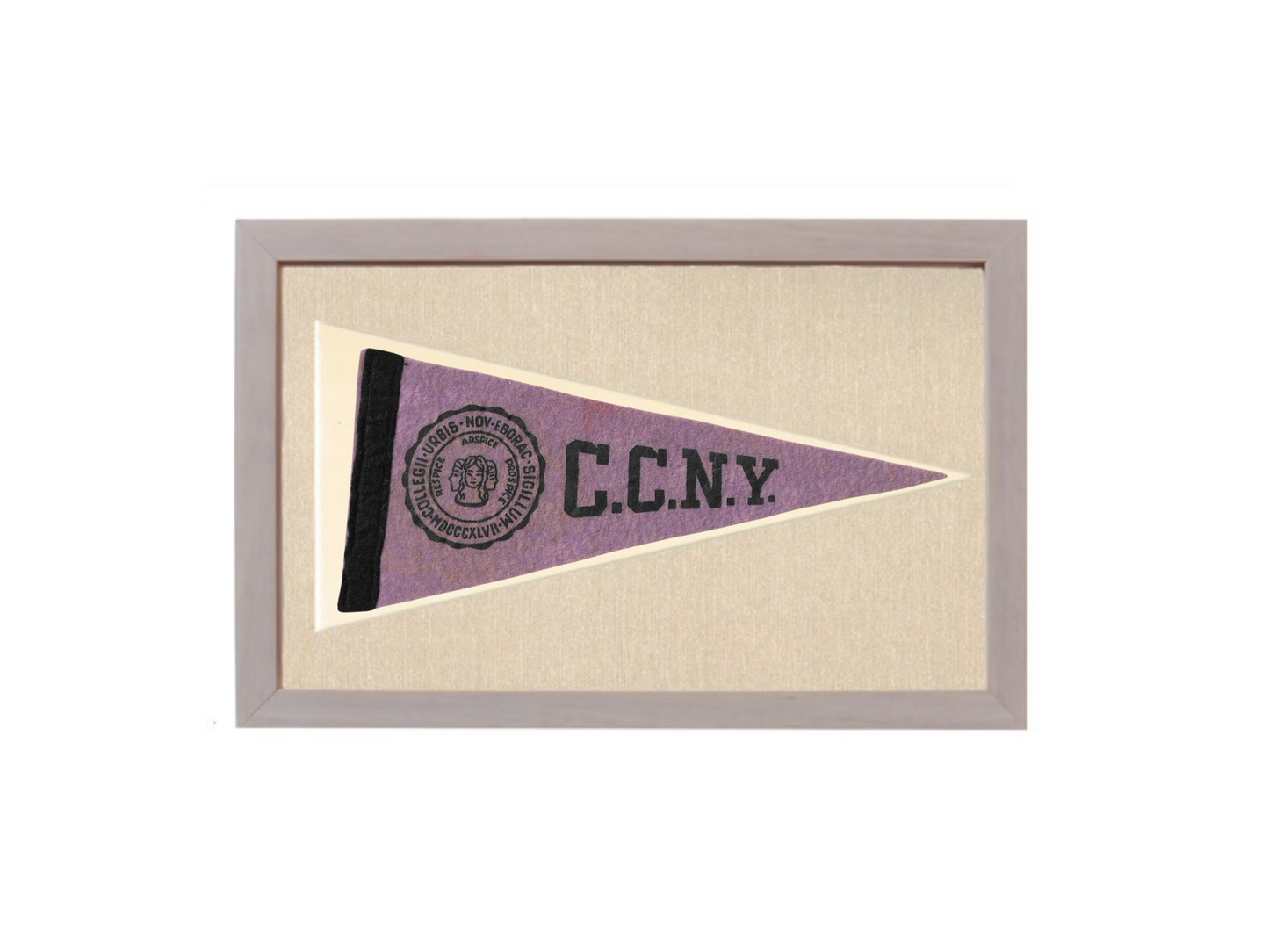 Vintage CCNY Pennant