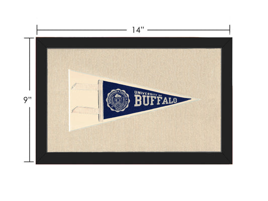 Vintage University of Buffalo Pennant