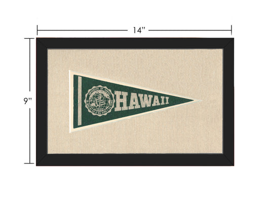 Vintage University of Hawaii Pennant