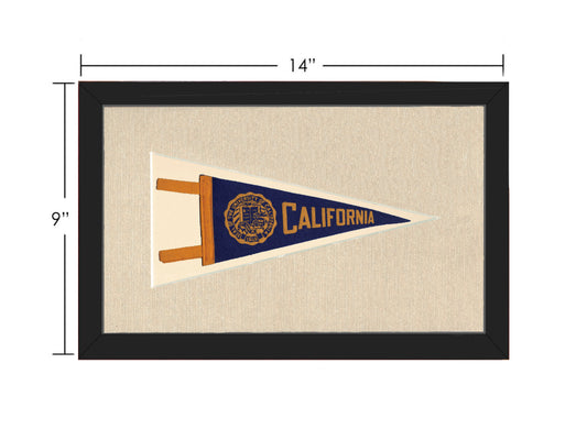 Vintage University of California Pennant