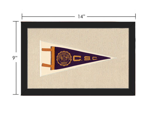 Vintage Colorado State College Pennant