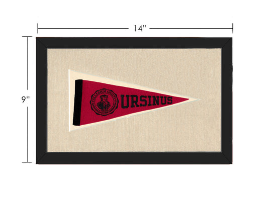 Vintage Ursinus College Pennant