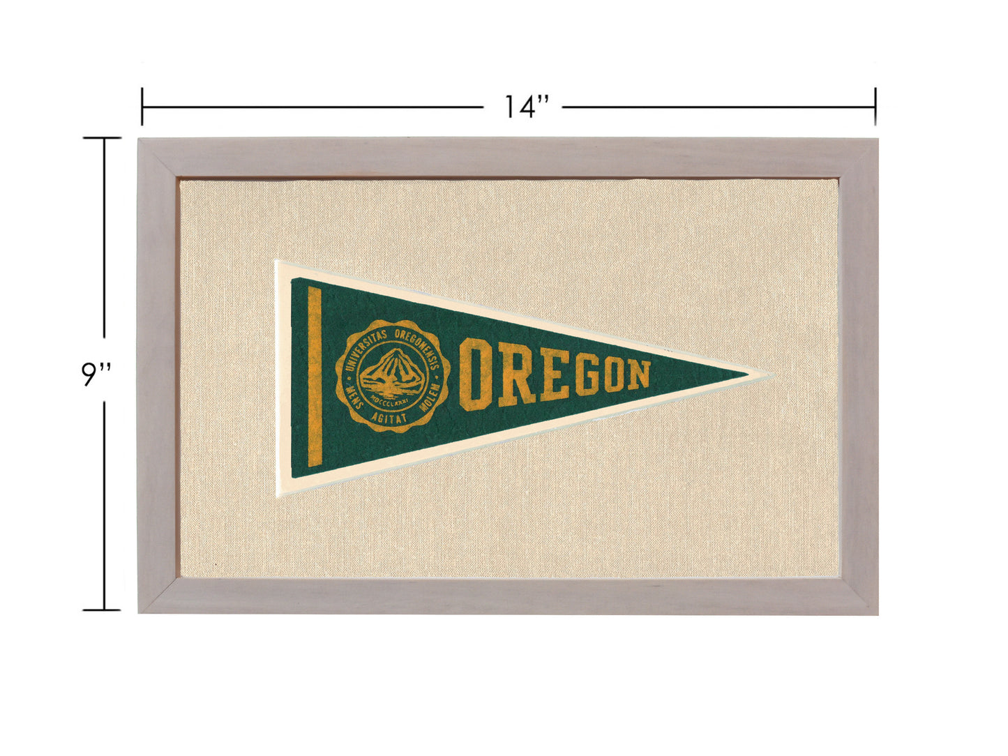 Vintage University of Oregon Pennant