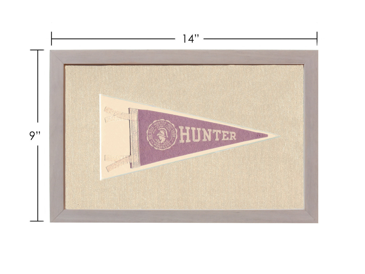 Vintage Hunter College Pennant