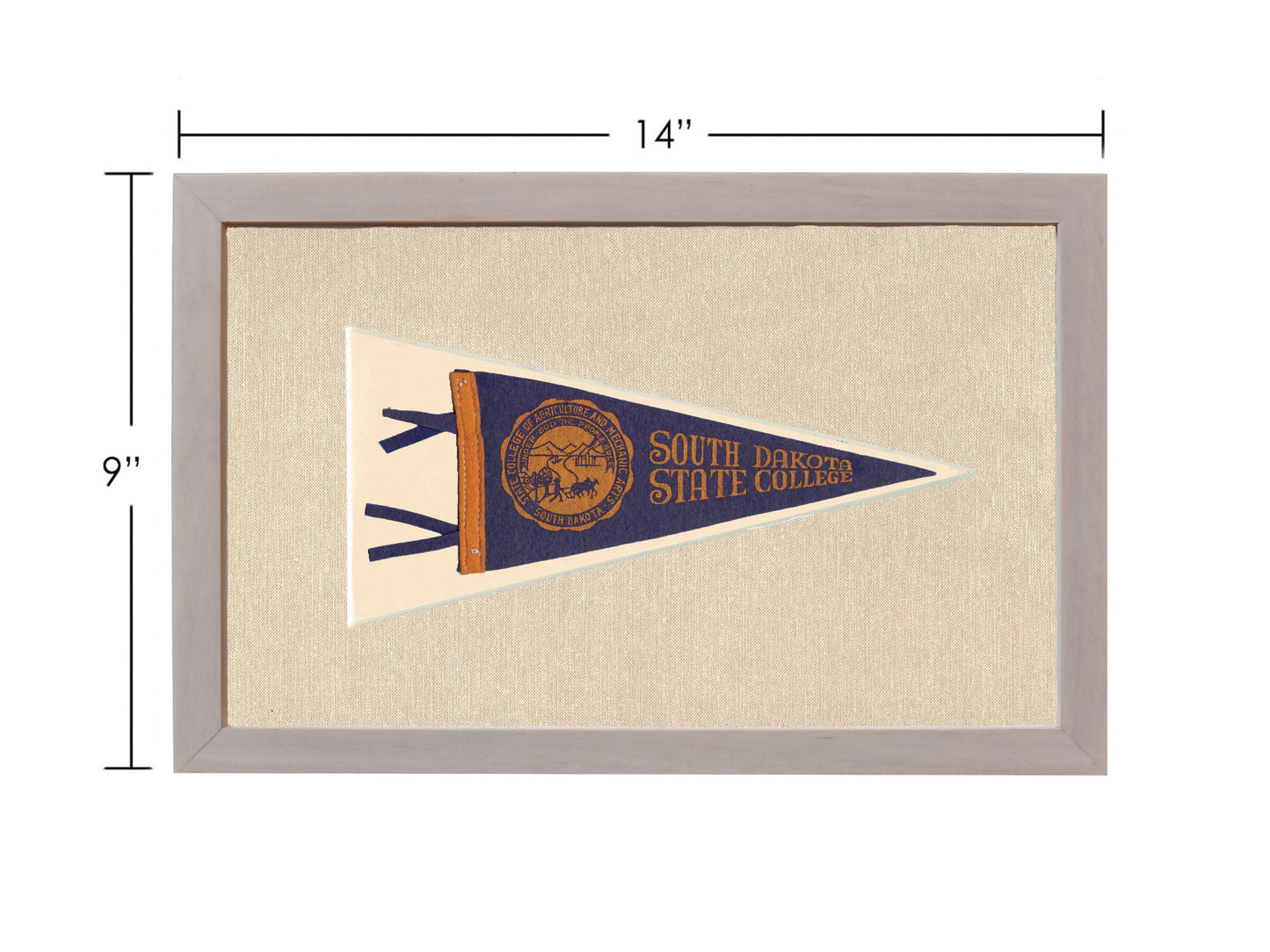Vintage South Dakota State College Pennant