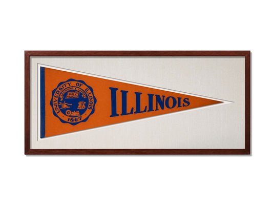 Vintage Illinois Pennant