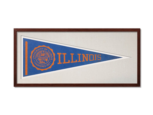 Vintage Illinois Pennant
