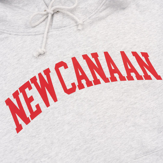 New Canaan Hoodie in Silver Grey