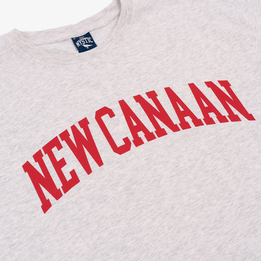 New Canaan T-Shirt in Silver Grey
