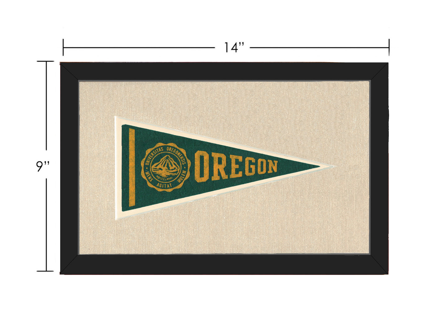 Vintage University of Oregon Pennant